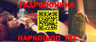 дживик Шелехов