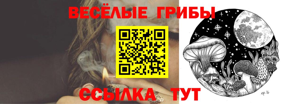 Галлюциногенные грибы Psilocybine cubensis  Вход с VPN  Алейск 